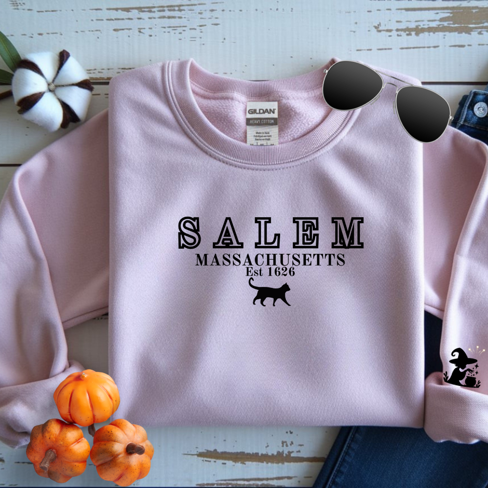 Pink sweatshirt with 'Salem Massachusetts Est. 1626' text and black cat silhouette on a wooden surface with pumpkins.